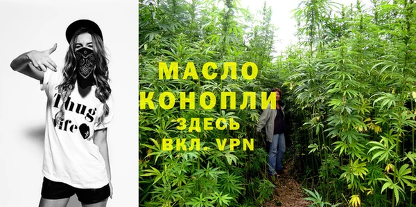 твердый Михайловск